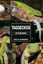 Taggeckos im Terrarium von