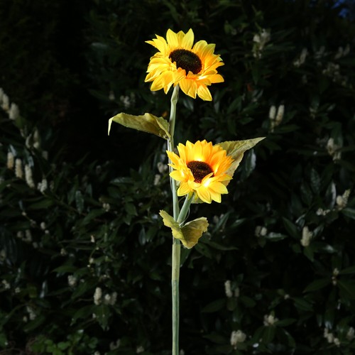Led solar gartenstecker - led,