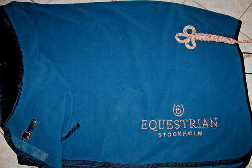 Equestrian stockholm - equestrian,
