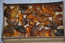 Konvolut/Lot Altes Bernstein