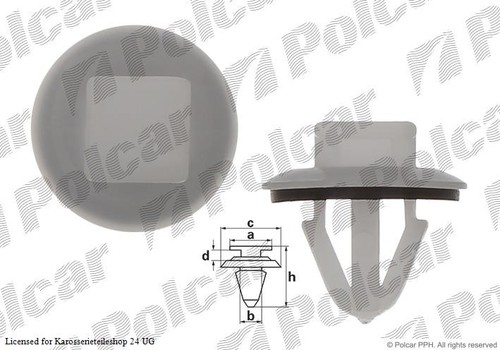Zierleisten clips - zierleisten,
