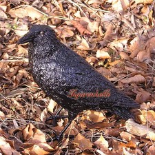 Rabe vogel figur statue - rabe,