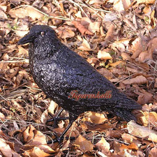 Rabe Vogel Figur Statue