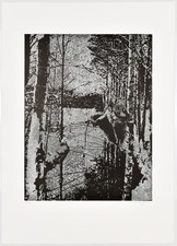 Speckmann, Ohne Titel. [20]07. Signierte Original-Lithografie.