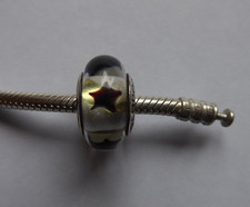Pandora Charm