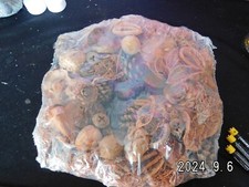 Naturkranz/neuwertig/Naturmaterialien