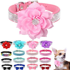 Hundehalsband mit Strass