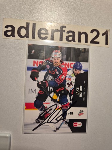 Del 2022 2023 signiert - del,
