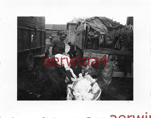 Deutsche soldaten schlachten - soldaten,