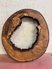 Baumscheibe, Holzscheibe