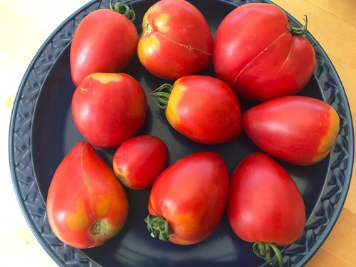 Ochsenherz tomatensamen - 10+,