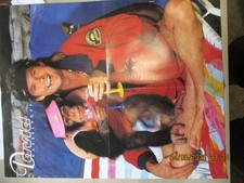 loses Bravo Poster - David