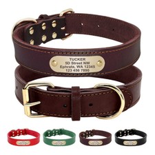 Personalisiertes Hundehalsband