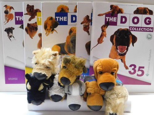The dog collection hunde - dog,