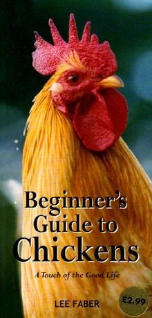 Beginners guide chickens - to,