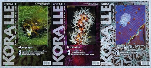 Heften koralle mit - heften, „koralle“