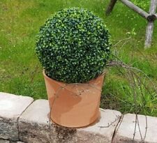 Buchsbaumkugel Dekopflanze