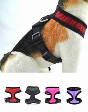 Hundegeschirr Katzengeschirr