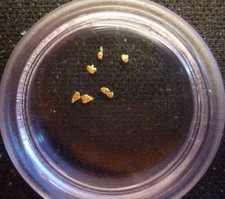 6 Stück Goldnuggets Gold