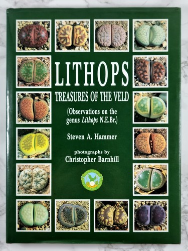 Lithops treasures the velt - lithops:,