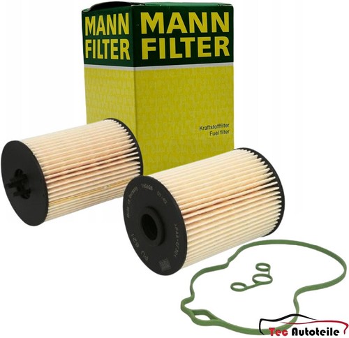 Mann filter kraftstoffflter - 2x,