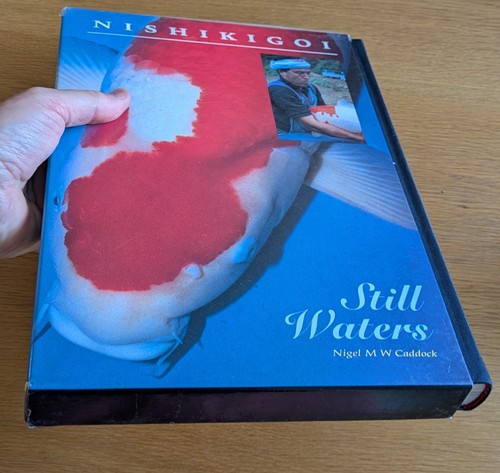 Nishikigoi still waters 1997 - still,
