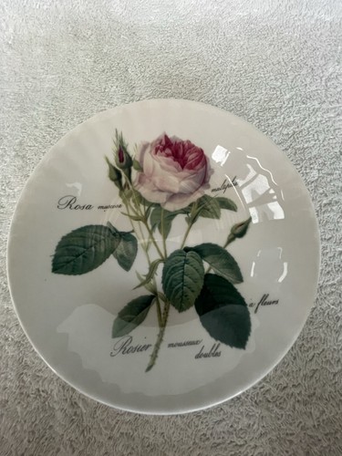 Roy kirkham redoute roses - kirkham,