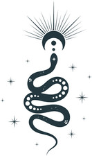 XXL 18X18 Car Decal Snake