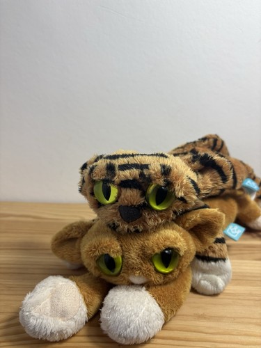 Todd der tiger und goldie - todd,