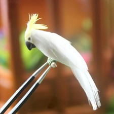 Miniatur Puppenhaus Maßstab