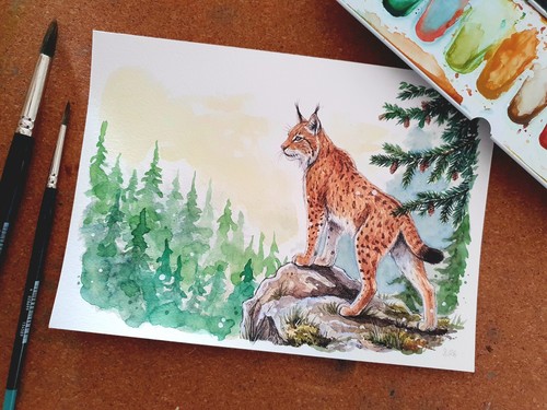 Aquarell mit luchs - aquarell,