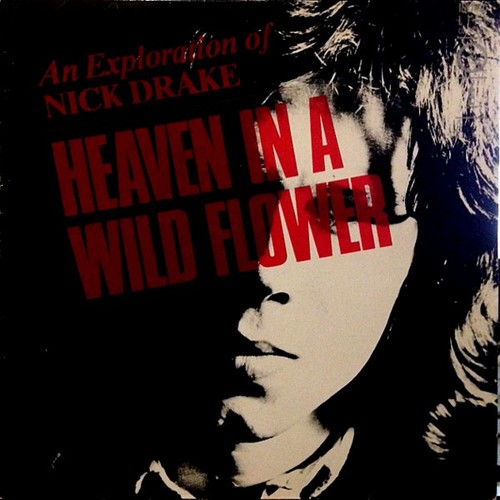 Nick drake heaven a wild - -,