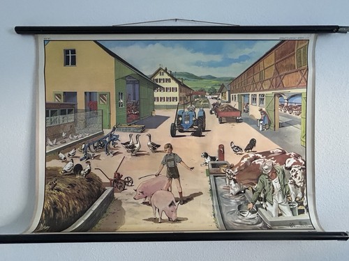 Schulwandkarte bauernhof - schulwandkarte,