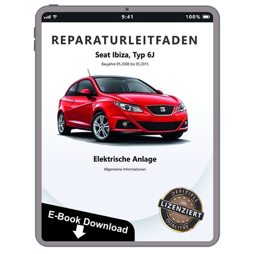 Seat ibiza allgemeine infos - seat, 6j