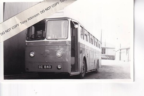 Ulsterbus leyland t a - ulsterbus,