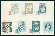 POLEN FLORA 1957 UNGEZÄHNT KARTONPAPIER !! RARE !! BLUMEN ORCHIDEEN KUNST m5005