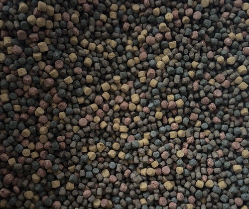 Koipellets bunt 5mm für - koipellets,