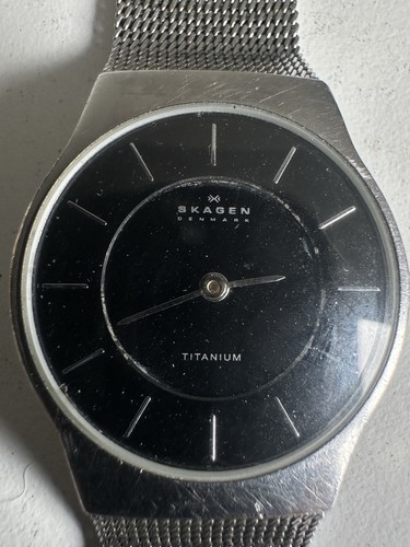 Skagen denmark titanium - skagen,