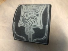 Schul Stempel Westermann - Mensch Oberkörper Organe