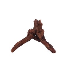 M Driftwood Flußwurzel