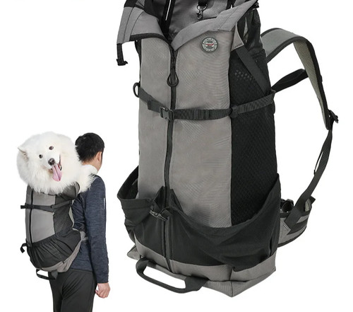 Hunde rucksack haustier - hunde,