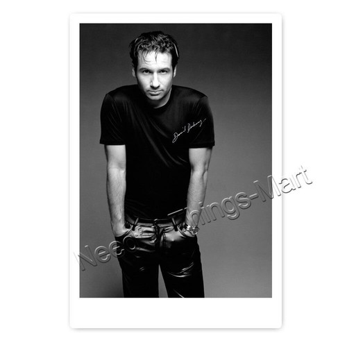 David duchovny aus - david,