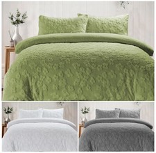 Gänseblümchen Teddy