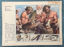 Natur-Bilder + Berliner