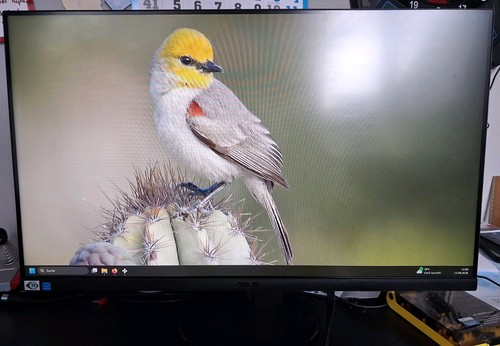 Asus vl279he zoll - 27,