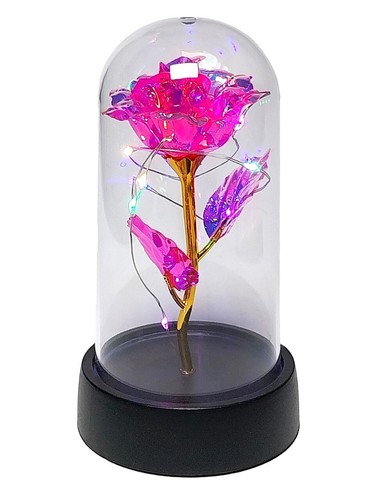 Rose blume glas kuppel - blume,