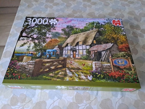 Jumbo puzzle 3000 - puzzle,