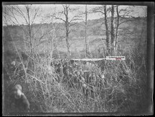 Alte Foto Glasplatte Negativ