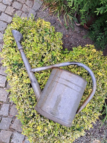 Zinkgießkanne alt liter - zinkgießkanne,