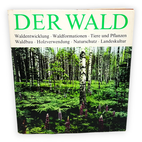 Der wald waldentwicklung - wald,